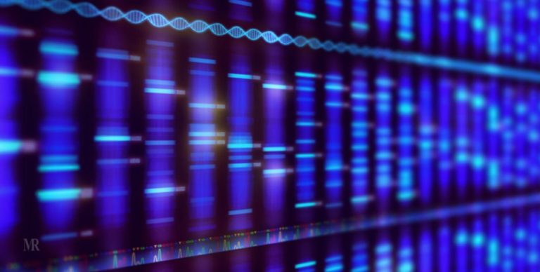 Leukemia Medical Precision