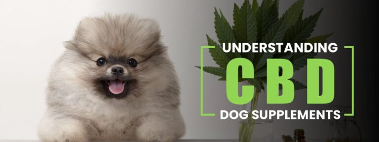CBD Dog Supplements