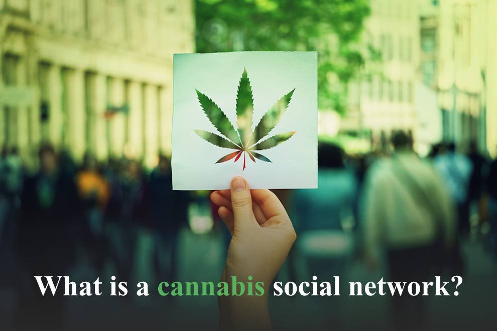 cannabis social network