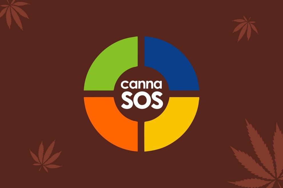 cannabis business