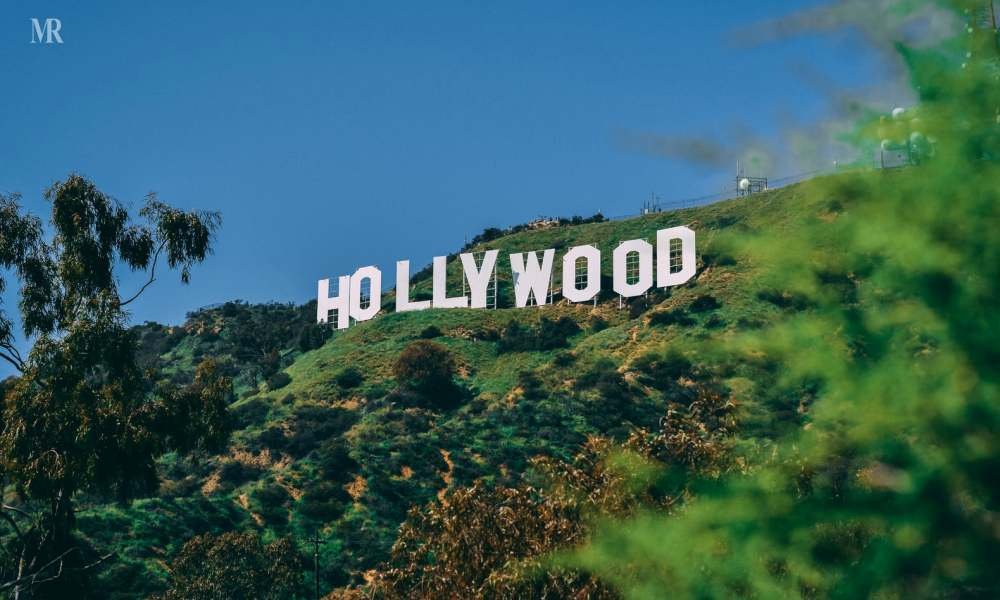 The Entertainment World