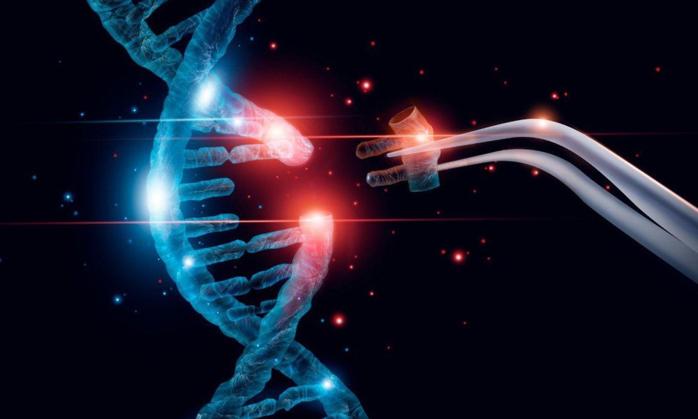 Genetic editing Cannabis Innovations
