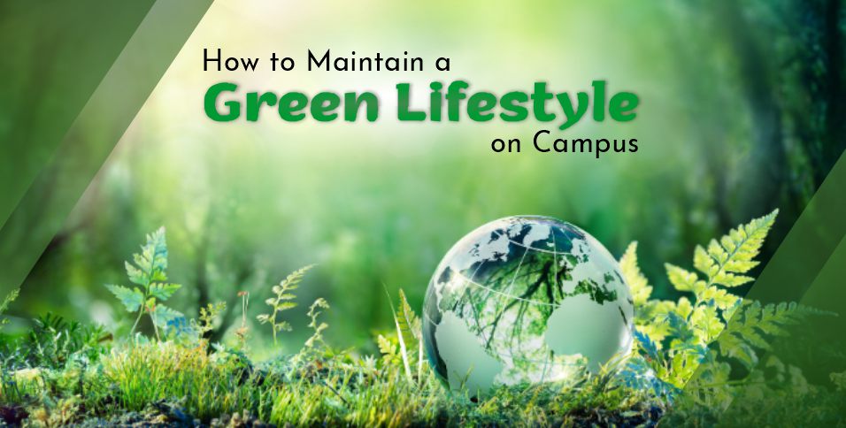 How to Maintain a Green Lifestyle on Campus