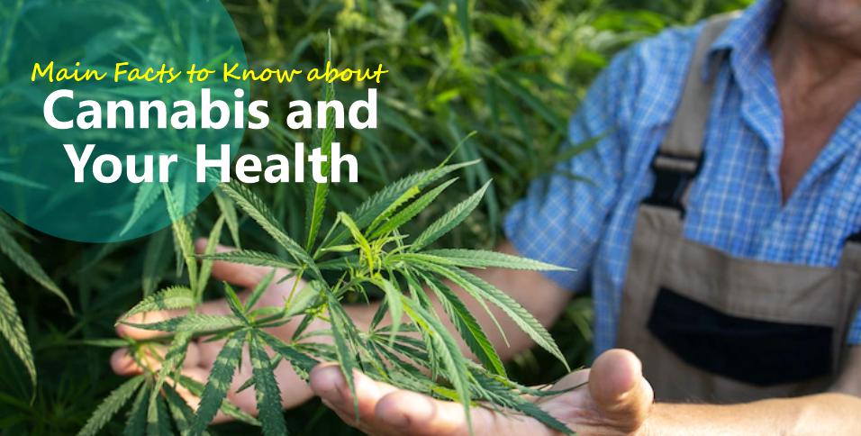 Main Facts to Know about Cannabis and Your Health