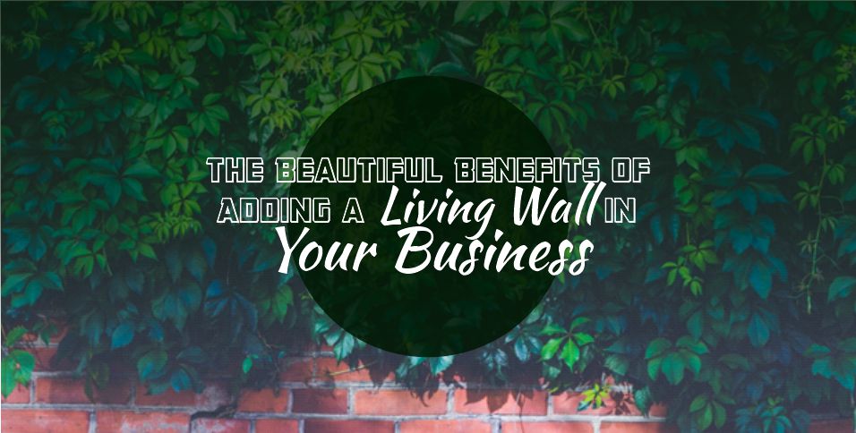 Benefits of Adding a Living Wall in Your Business