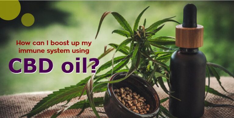 boost up my immune system using CBD oil