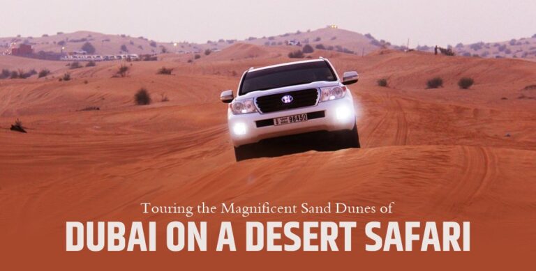Touring the Magnificent Sand Dunes of Dubai on a Desert Safari