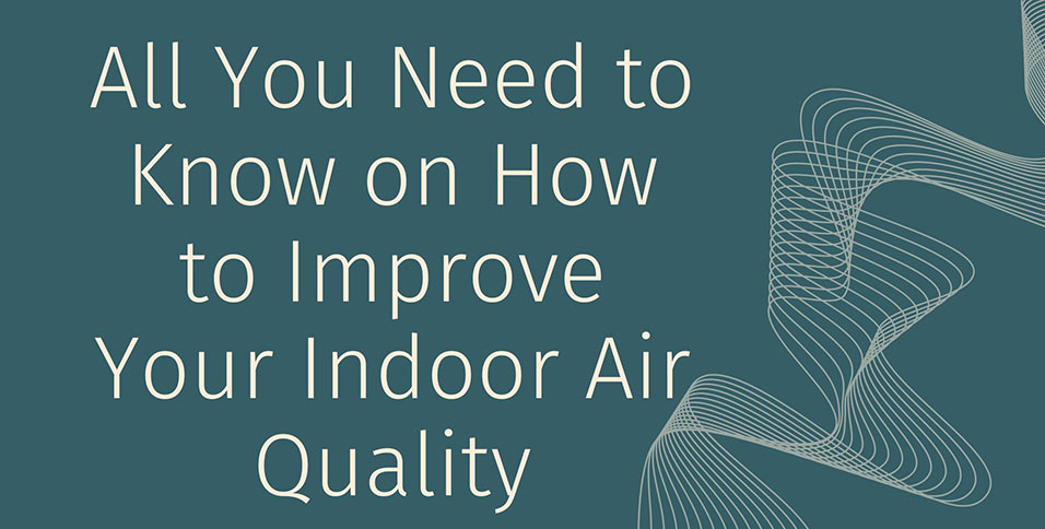 All-You-Need-to-Know-on-How-to-Improve-Your-Indoor-Air-Quality