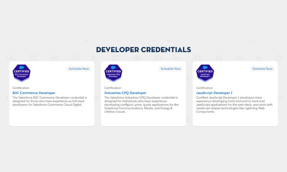 What Are the Types of Screening and Assessment Used for Hiring a Salesforce Developer? What-Are-the-Types-of-Screening-and-Assessment-Used-for-Hiring-a-Salesforce-Developer