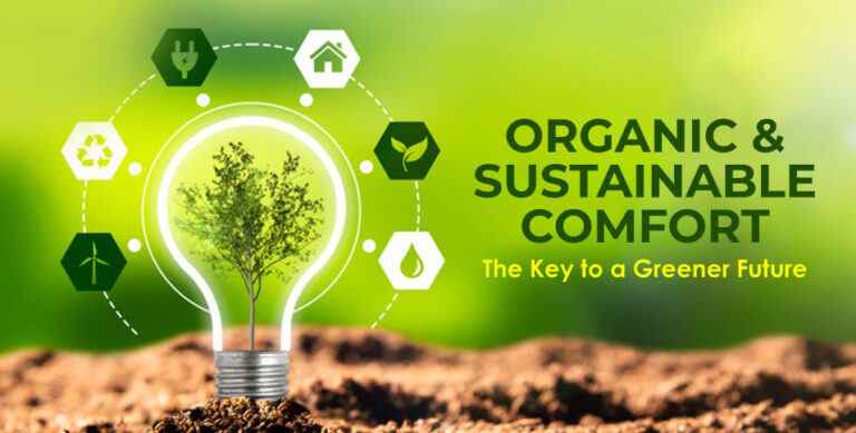 Organic & Sustainable Comfort: The Key to a Greener Future