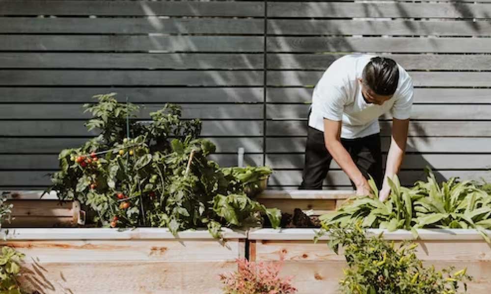 Start-a-Garden Start-a-Garden
