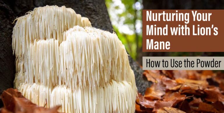 Nurturing-Your-Mind-with-Lion's-Mane--How-to-Use-the-Powder