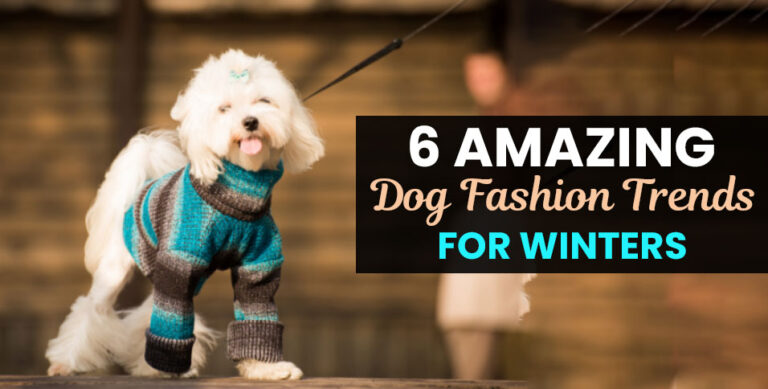 6-Amazing-Dog-Fashion-Trends-for-Winters
