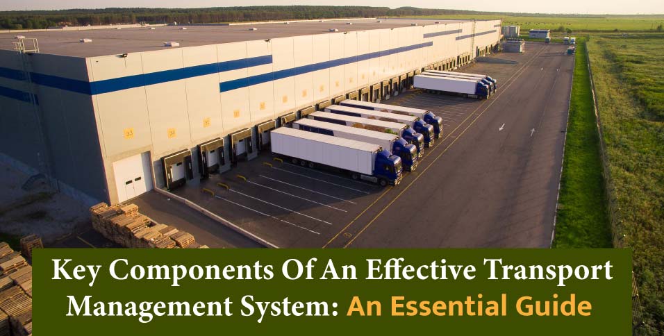 Key-Components-Of-An-Effective-Transport-Management-System--An-Essential-Guide