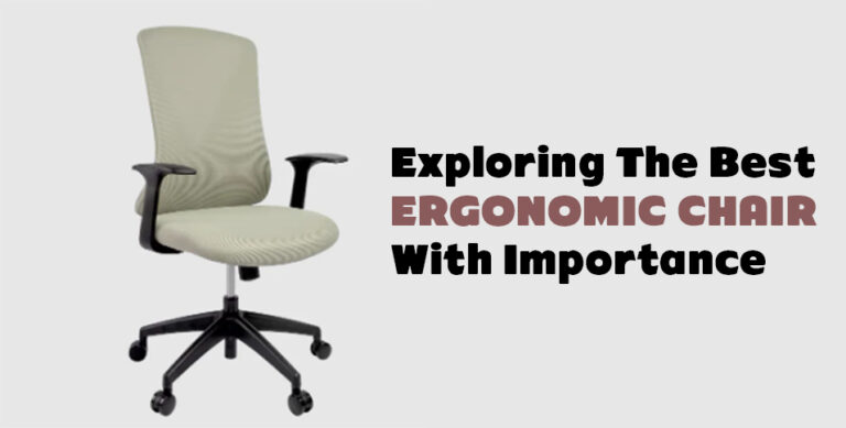 Ergonomic Chair