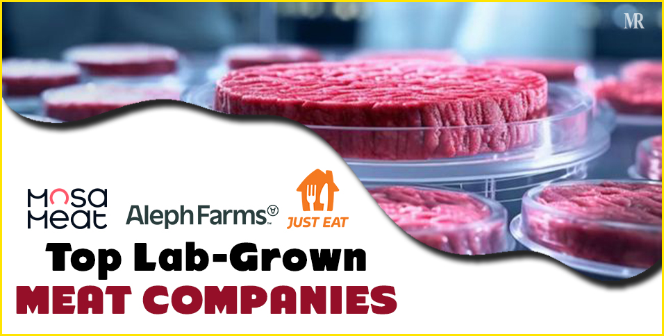 Lab-grown meat companies