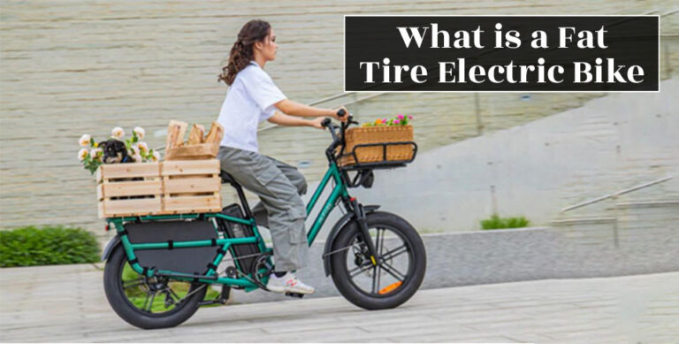Fat Tire Electric Bike
