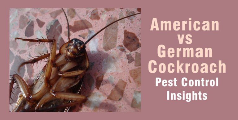Pest Control Insights