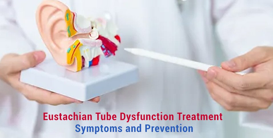 Exercises For Eustachian Tube Dysfunction The Tube Exercises For Eustachian Tube Dysfunction The Tube