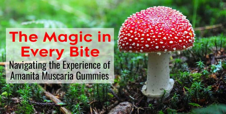 Amanita Muscaria Gummies