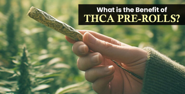 Thca Pre-Rolls
