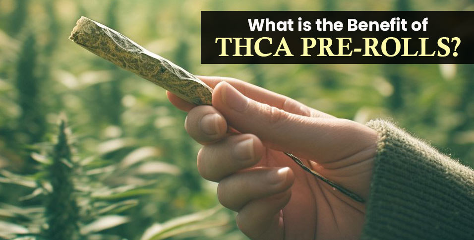Thca Pre-Rolls