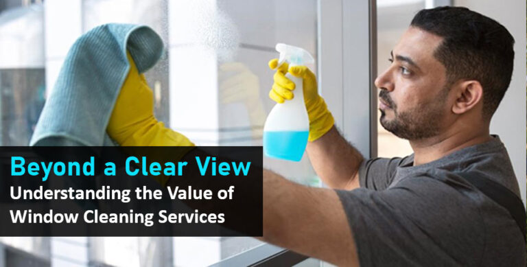 Window Cleaning Services