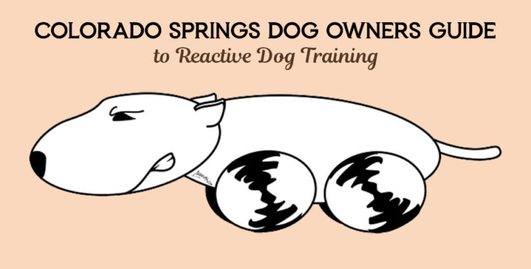 Reactive Dog Training