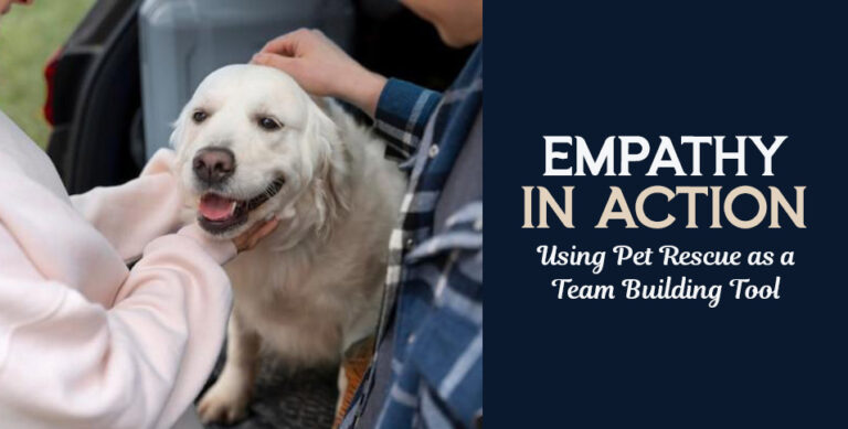 pet rescue activities