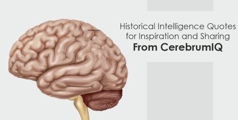 Historical Intelligence Quotes