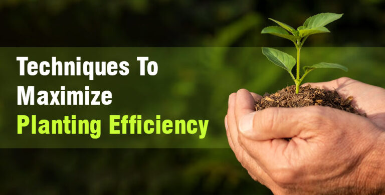 Techniques To Maximize Planting