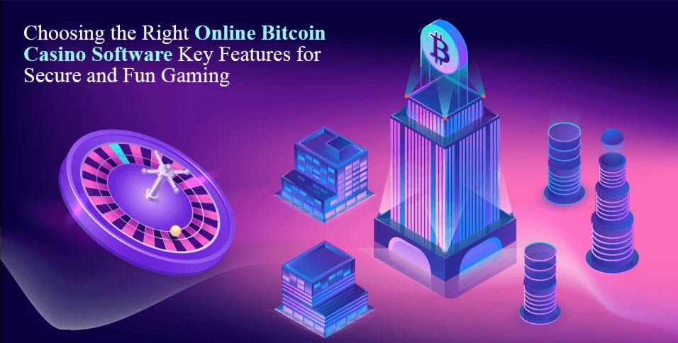 Online Bitcoin Casino Software Choosing The Right Option Online Bitcoin Casino Software Choosing The Right Option
