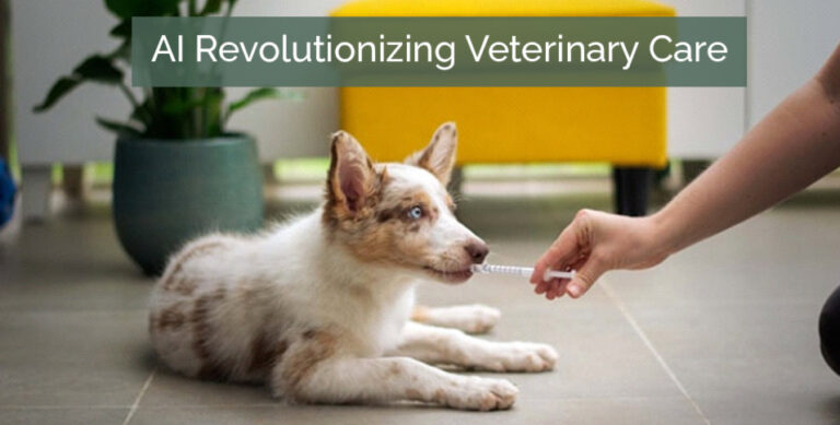 AI Revolutionizing Veterinary Care