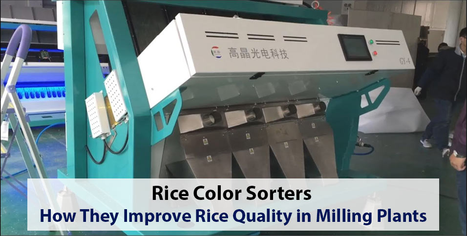 Rice Color Sorters