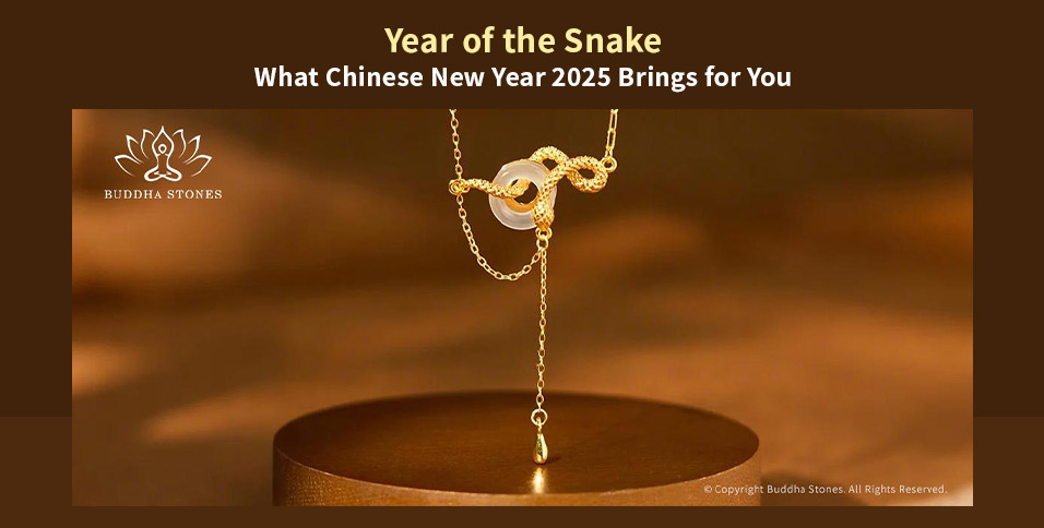 Year of the Snake