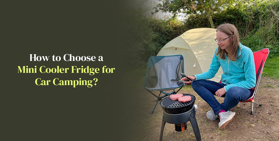 Mini Cooler Fridge for Car