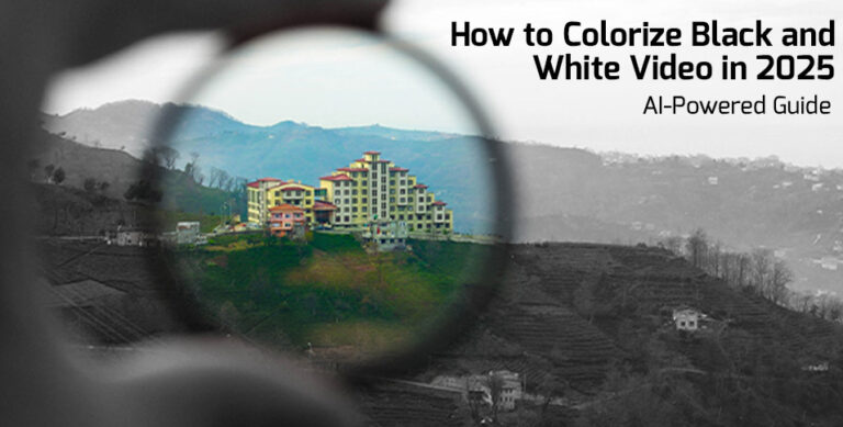 Colorize Black and White Video