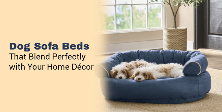 Dog Sofa Beds