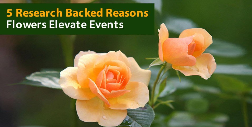 Flowers Elevate Events