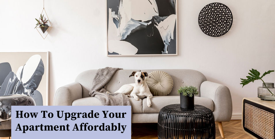 Upgrade Your Apartment Affordably