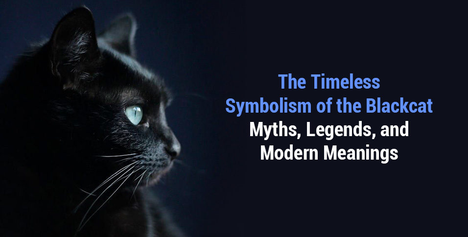 Timeless Symbolism of the Blackcat