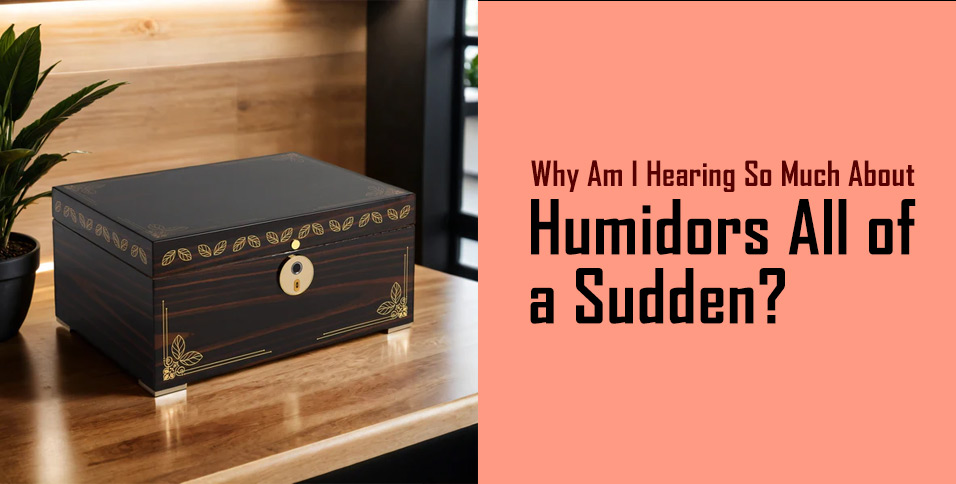 Why Am I Hearing So Much About Humidors All of a Sudden?