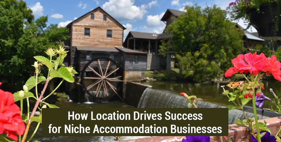 Niche Accommodation Businesses