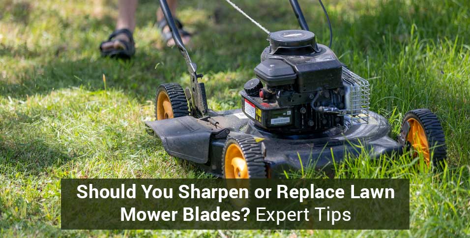 Should You Sharpen or Replace Lawn Mower Blades? Expert Tips