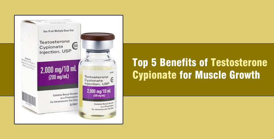 Top 5 Benefits of Testosterone Cypionate for Muscle Growth