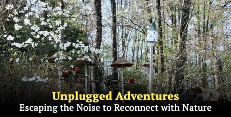 Unplugged Adventures