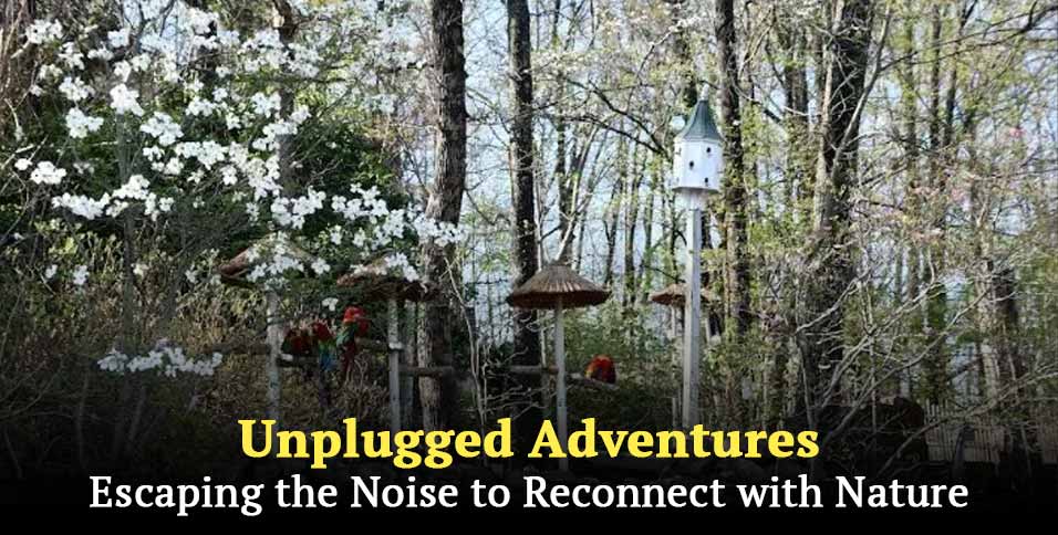 Unplugged Adventures