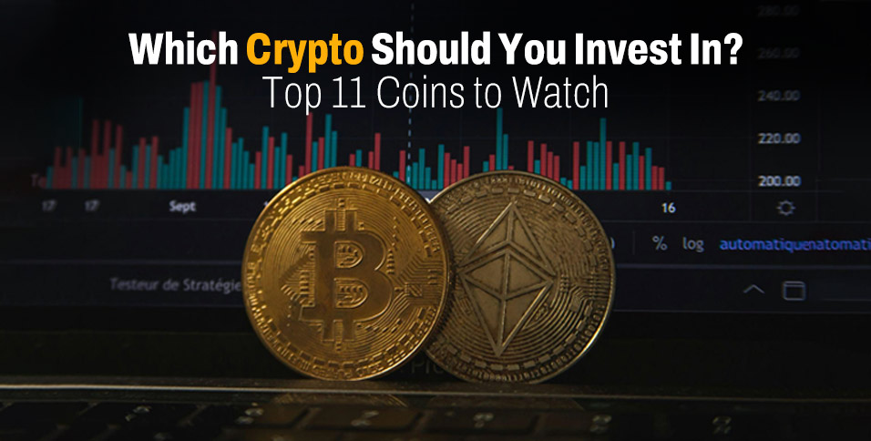 Which Crypto Should You Invest In? Top 11 Coins to Watch