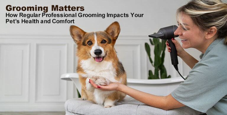 Grooming Matters: How Regular Professional Grooming Impacts Your Pet’s Health and Comfort