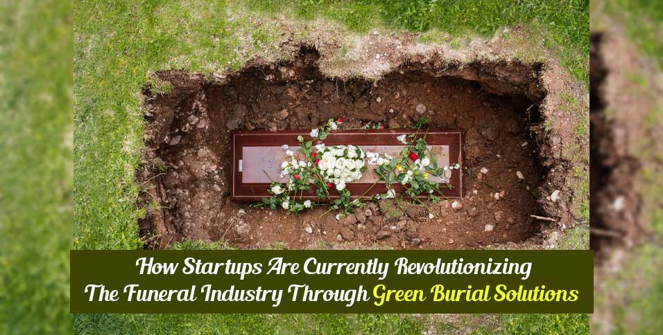 How Startups Are Currently Revolutionizing The Funeral Industry Through Green Burial Solutions